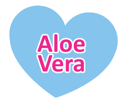 Icono Aloe Vera